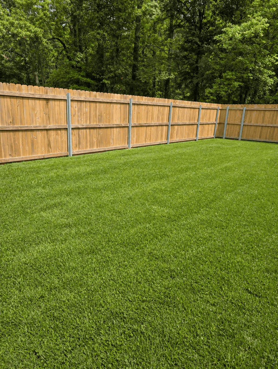 Spacious fenced play yard at Noble Nose luxury kennel near Shreveport